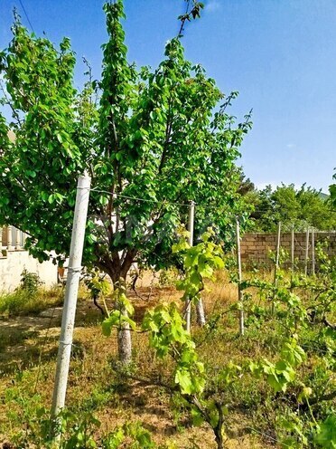 3 otaqlı həyət evi/bağ evi - Novxanı q. - 80 m² (25)