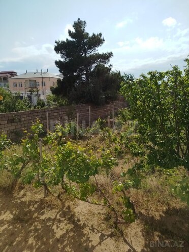 3 otaqlı həyət evi/bağ evi - Novxanı q. - 80 m² (15)