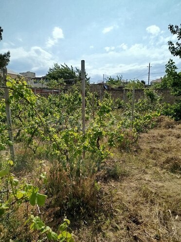 3 otaqlı həyət evi/bağ evi - Novxanı q. - 80 m² (21)