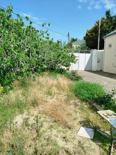 3 otaqlı həyət evi/bağ evi - Novxanı q. - 80 m² (26)