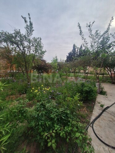 10-комн. дом/дача - пос. Новханы - 150 м² (14)