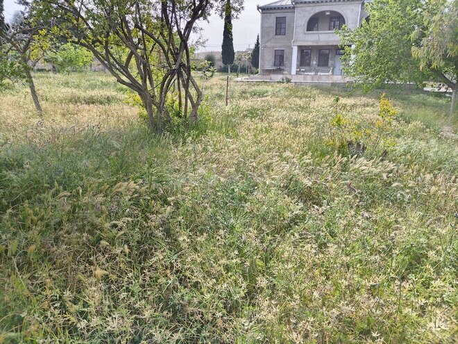 4 otaqlı həyət evi/bağ evi - Nardaran q. - 200 m² (1)