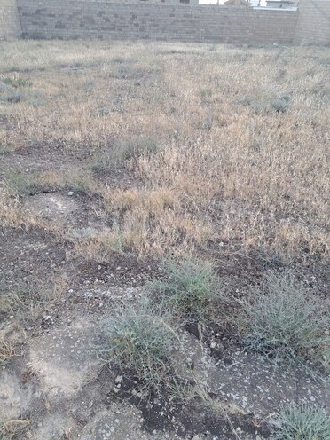 Satılır  torpaq 2.4 sot, Badamdar q., photo 1 from 6