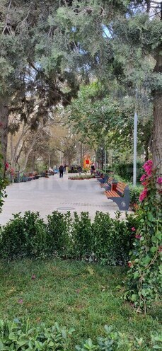 4 otaqlı köhnə tikili - Azadlıq Prospekti m. - 75 m² (27)