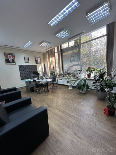 Obyekt - 28 May m. - 300 m² (5)