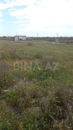Участок - пос. Тюркан - 12 сот (2)