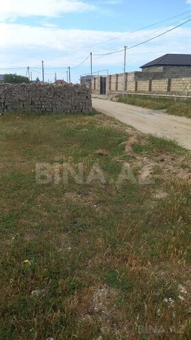 Участок - пос. Тюркан - 12 сот (1)