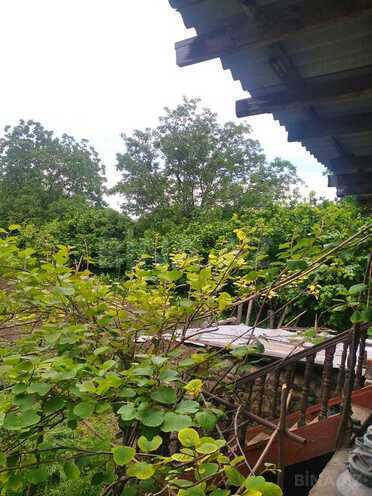 3 otaqlı həyət evi/bağ evi - Göygöl - 225 m² (5)