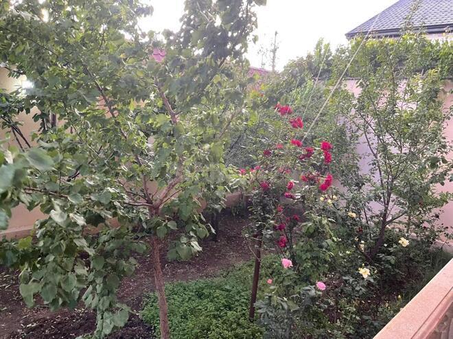 7 otaqlı həyət evi/bağ evi - Mehdiabad q. - 286 m² (15)