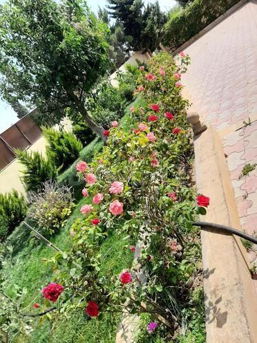 6 otaqlı həyət evi/bağ evi - Görədil q. - 350 m² (4)