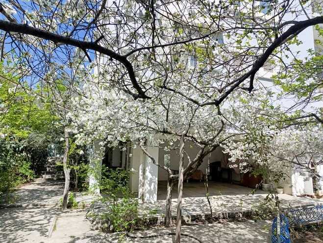 5 otaqlı həyət evi/bağ evi - Nəsimi m. - 223 m² (28)