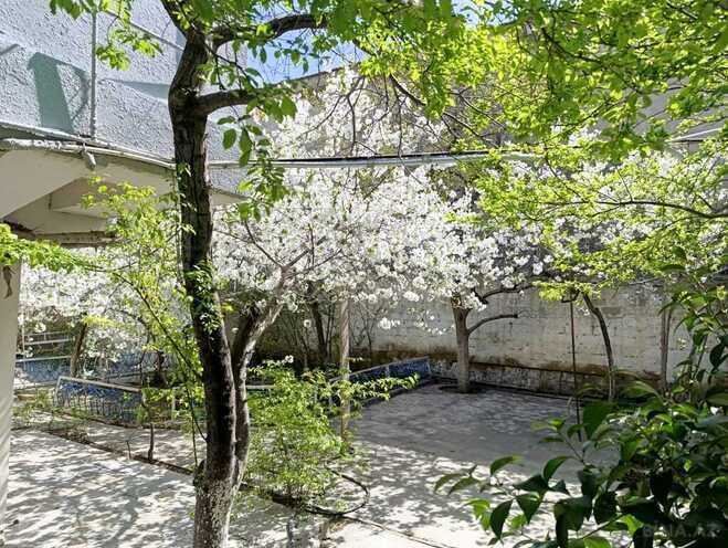5 otaqlı həyət evi/bağ evi - Nəsimi m. - 223 m² (27)