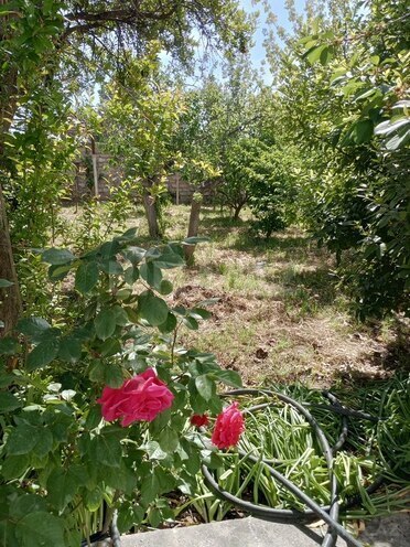 3 otaqlı həyət evi/bağ evi - Novxanı q. - 106 m² (22)