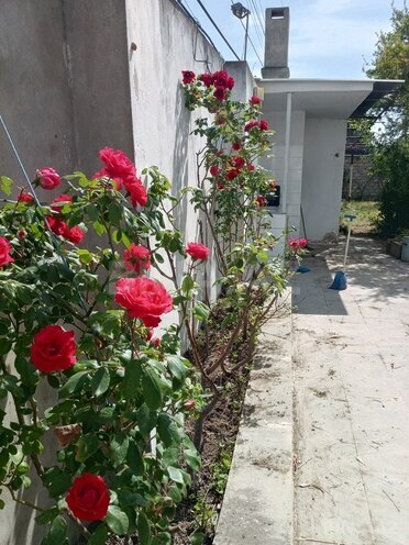 3 otaqlı həyət evi/bağ evi - Novxanı q. - 106 m² (24)