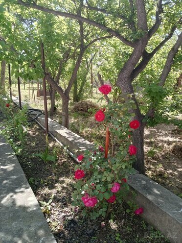 3 otaqlı həyət evi/bağ evi - Novxanı q. - 106 m² (27)