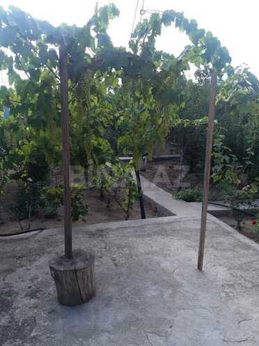 6 otaqlı həyət evi/bağ evi - Albalılıq q. - 250 m² (2)
