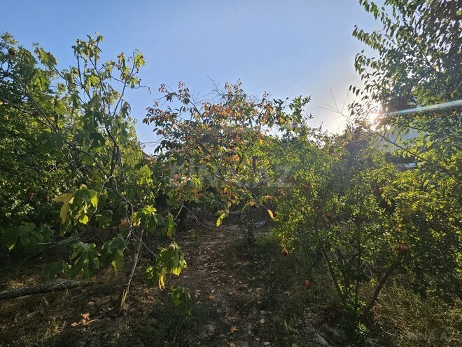 6 otaqlı həyət evi/bağ evi - Badamdar q. - 314.3 m² (5)