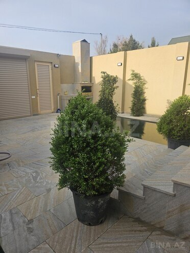 3 otaqlı həyət evi/bağ evi - Şüvəlan q. - 110 m² (16)