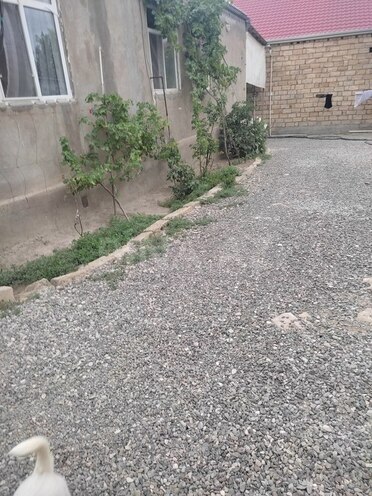 4 otaqlı həyət evi/bağ evi - Binəqədi q. - 90 m² (19)