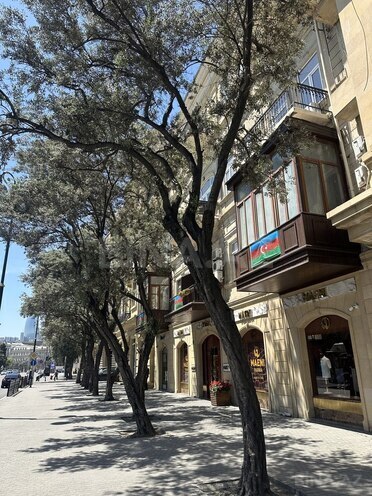 6 otaqlı köhnə tikili - Sahil m. - 320 m² (23)