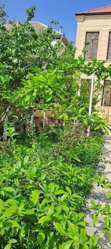 Продаётся 6-комн. дом/дача 250 м², пос. М. Расулзаде, photo 18 from 20