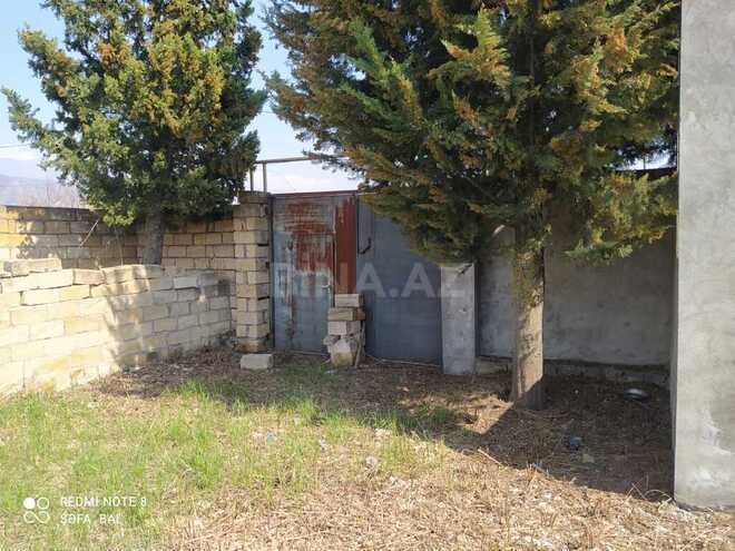 Torpaq - Şəki - 6 sot (24)