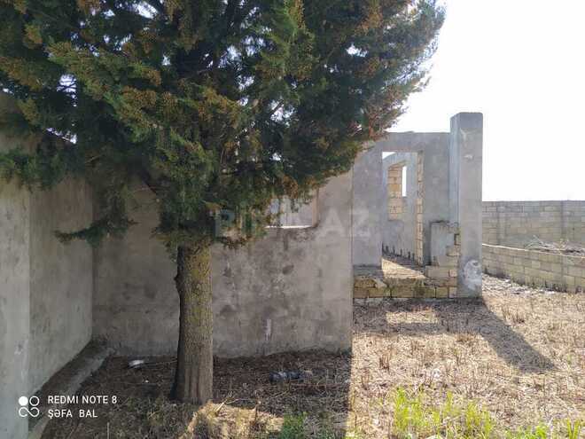 Torpaq - Şəki - 6 sot (12)