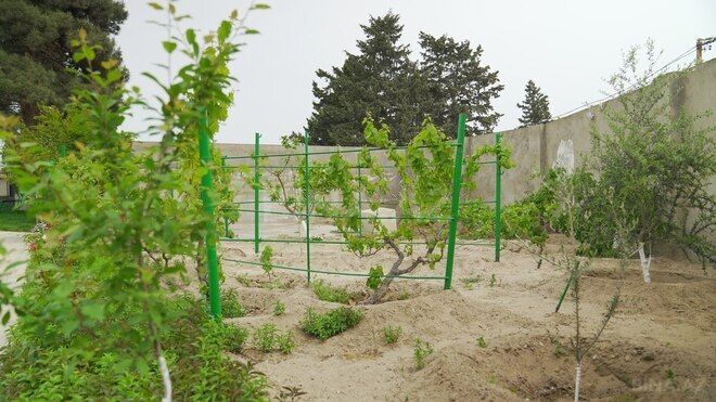 Сдаётся 5-комн. дом/дача 300 м², пос. Нардаран, photo 19 from 32