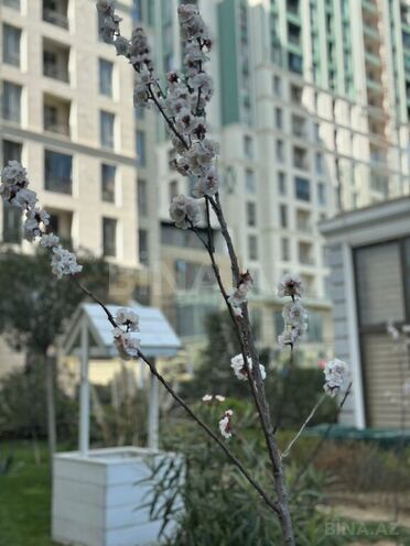 3 otaqlı yeni tikili - Gənclik m. - 130.2 m² (2)