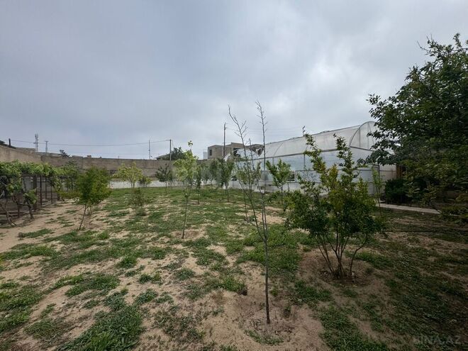 Продаётся  участок 13 сот, пос. Шувеляны, photo 8 from 11