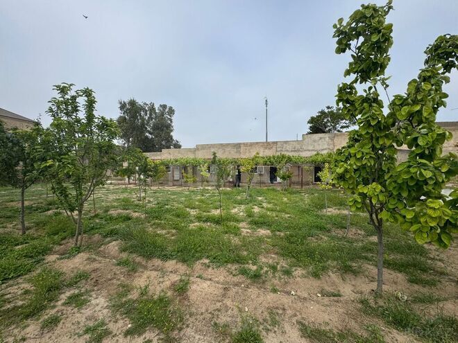 Продаётся  участок 13 сот, пос. Шувеляны, photo 3 from 11