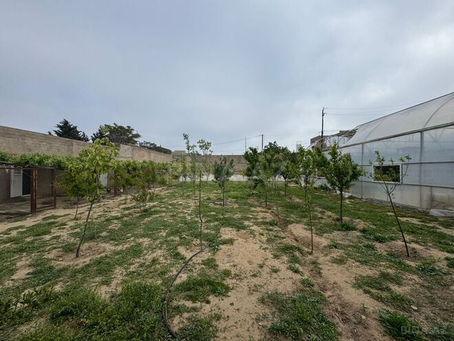 Продаётся  участок 13 сот, пос. Шувеляны, photo 6 from 11