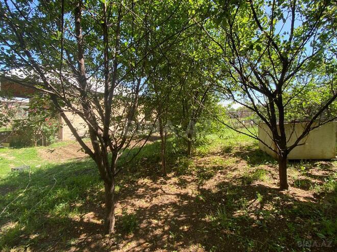 3 otaqlı həyət evi/bağ evi - Gəncə - 400 m² (7)