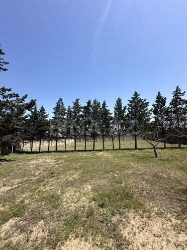 Satılır  torpaq 30 sot, Qala q., photo 6 from 19