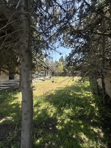 Satılır  torpaq 30 sot, Qala q., photo 3 from 19