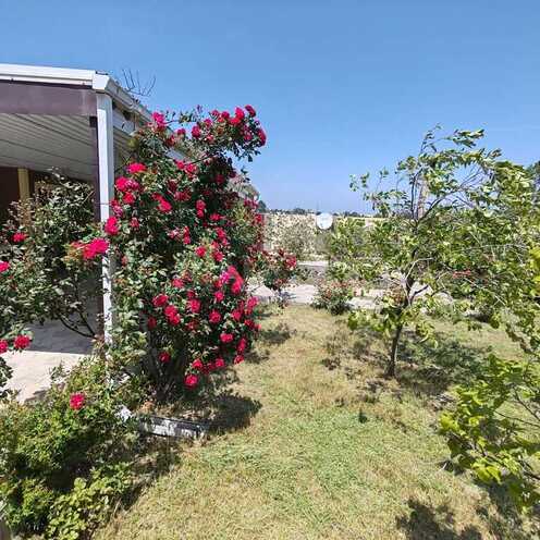 6 otaqlı həyət evi/bağ evi - Buzovna q. - 270 m² (8)