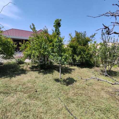 6 otaqlı həyət evi/bağ evi - Buzovna q. - 270 m² (10)