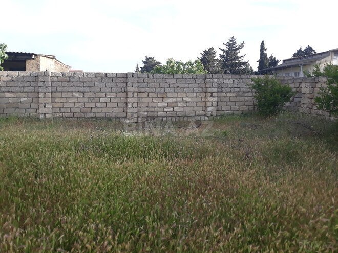 Torpaq - Bilgəh q. - 10 sot (16)