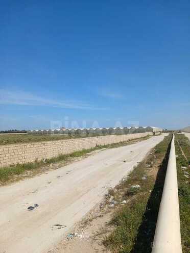 Satılır  torpaq 500 sot, Zirə q., photo 5 from 8