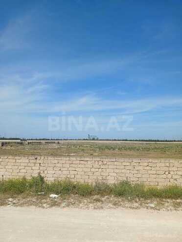 Satılır  torpaq 500 sot, Zirə q., photo 3 from 8