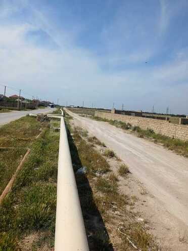 Satılır  torpaq 500 sot, Zirə q., photo 6 from 8