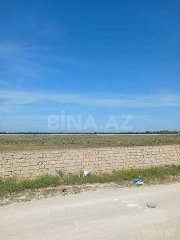 Satılır  torpaq 500 sot, Zirə q., photo 4 from 8