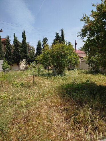 6 otaqlı həyət evi/bağ evi - Novxanı q. - 240 m² (25)
