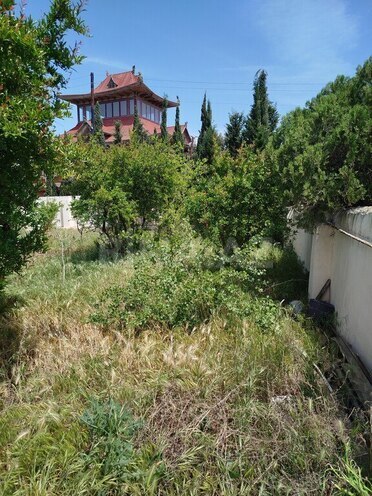 6 otaqlı həyət evi/bağ evi - Novxanı q. - 240 m² (26)