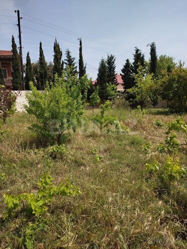 6 otaqlı həyət evi/bağ evi - Novxanı q. - 240 m² (27)
