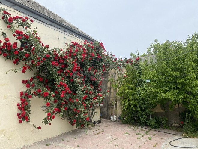 3 otaqlı həyət evi/bağ evi - Binəqədi q. - 82 m² (1)