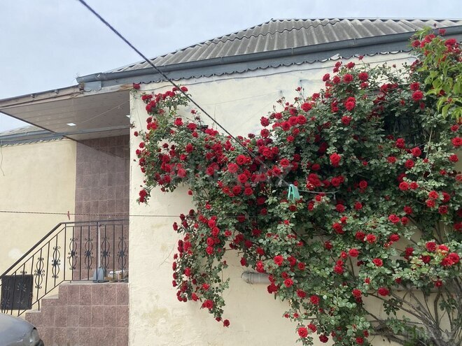 3 otaqlı həyət evi/bağ evi - Binəqədi q. - 82 m² (2)
