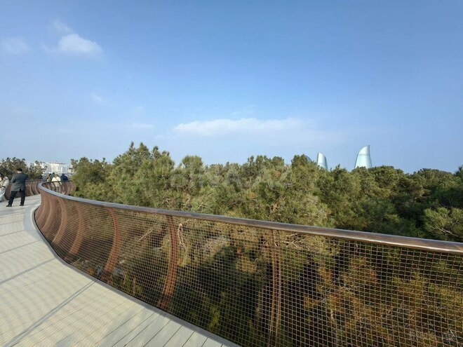 3 otaqlı yeni tikili - Badamdar q. - 138 m² (6)