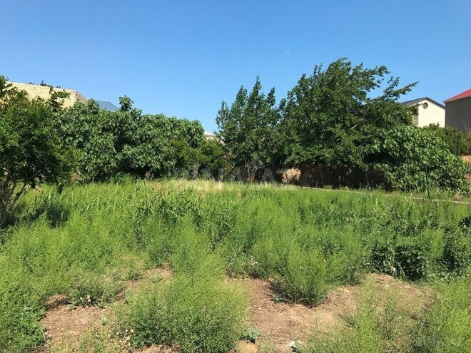 Продаётся  участок 11 сот, пос. Шихов , photo 5 from 11