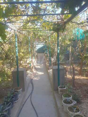 6 otaqlı həyət evi/bağ evi - Xocəsən m. - 120 m² (18)